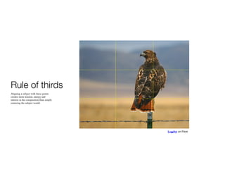 Rule of thirds
Aligning a subject
with these points
creates more
tension, energy
and interest in the
composition than
simply centering
the subject would.
LeggNet on Flickr
 