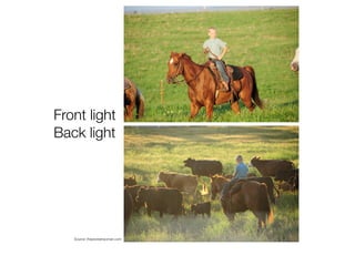 Front light
Back light
Source: thepioneerwoman.com
 