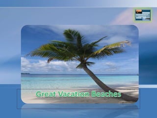 Great Vacation Beaches 