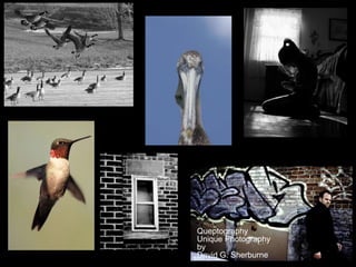 Queptography
Unique Photography
by
David G. Sherburne
 