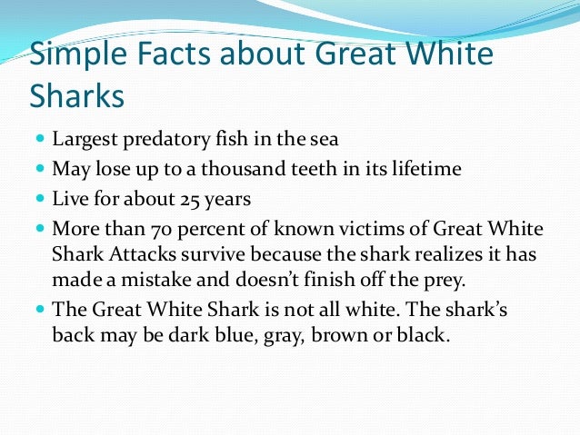 the statistics of great white shark attacks on humans Great white shark attacks are extremely rare, even when humans are swimming nearby humans are not specifically targeted by sharks and that includes the great white. the statistics of great white shark attacks on humans Great white shark attacks are extremely rare, even when humans are swimming nearby humans are not specifically targeted by sharks and that includes the great white.