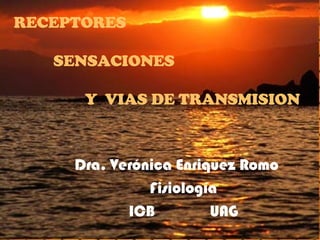 RECEPTORES   SENSACIONES   Y  VIAS DE TRANSMISION Dra. Verónica Enriquez Romo Fisiología ICB  UAG 