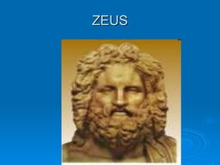 ZEUS 