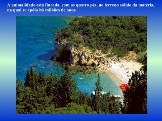 A animalidade está fincada, com os quatro pés, no terreno sólido da matéria,  na qual se apóia há milhões de anos.  