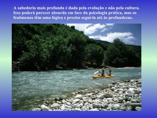 A sabedoria mais profunda é dada pela evolução e não pela cultura.  Isso poderá parecer absurdo em face da psicologia prática, mas os  fenômenos têm uma lógica e preciso segui-la até às profundezas.  