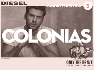 COLONIAS
3característica
 