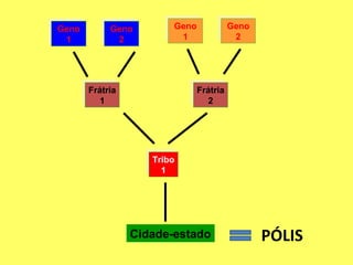 Geno
1
Geno
1
Frátria
1
Frátria
1
Geno
2
Geno
2
Geno
1
Geno
1
Geno
2
Geno
2
Frátria
2
Frátria
2
Tribo
1
Tribo
1
Cidade-estado PÓLIS
 