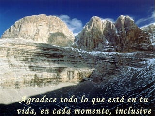 Agradece todo lo que está en tu vida, en cada momento, inclusive el dolor. 