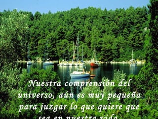 Nuestra comprensión del universo, aún es muy pequeña para juzgar lo que quiere que sea en nuestra vida. 