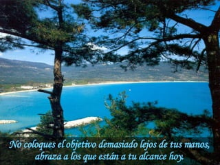 No coloques el objetivo demasiado lejos de tus manos, abraza a los que están a tu alcance hoy. 