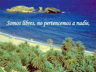 Somos libres, no pertencemos a nadie, 