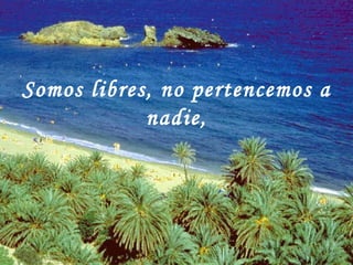 Somos libres, no pertencemos a nadie, 