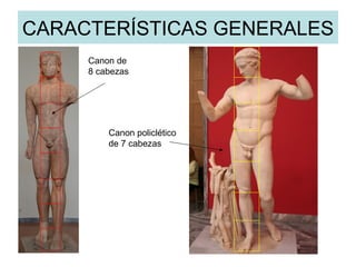 CARACTERÍSTICAS GENERALES Canon de 8 cabezas Canon policlético de 7 cabezas 