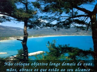 Não coloque objetivo longe demais de suas mãos, abrace os que estão ao seu alcance hoje. 