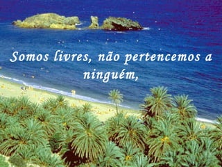 Somos livres, não pertencemos a ninguém, 
