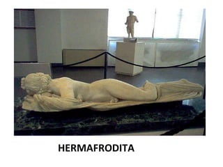 HERMAFRODITA 