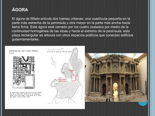 El ágora de Mileto articula dos tramas urbanas: una cuadricula pequeña en la
parte más estrecha de la península y otra mayor en la parte más ancha hacia
tierra firme. Este ágora está cerrado por los cuatro costados por medio de la
continuidad homogénea de las stoas y hacia el extremo de la península, esta
plaza rectangular se articula con otros espacios públicos que conectan edificios
gubernamentales.
ÁGORA
 