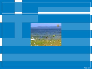 KrakenEl Kraken es una criatura marina de la mitología escandinava y finlandesa descrita comúnmente como un tipo de pulpo o calamar gigante que, emergiendo de las profundidades, atacaba barcos y devoraba a los marinos. La leyenda puede realmente haberse originado de avistamientos de calamares gigantes reales que tendrían estimadamente de 13 a 15 metros de largo, incluyendo los tentáculos.