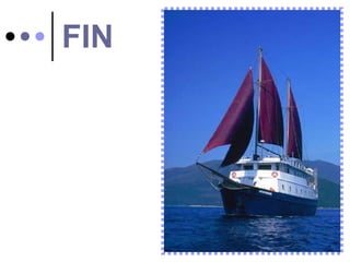 FIN 