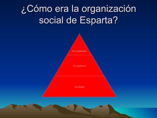 ¿Cómo era la organización social de Esparta? Los espartanos Los periecos Los Ilotas 