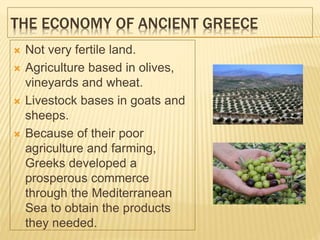 THE ECONOMY OF ANCIENT GREECE
 Not very fertile land.
 Agriculture based in olives,
vineyards and wheat.
 Livestock bases in goats and
sheeps.
 Because of their poor
agriculture and farming,
Greeks developed a
prosperous commerce
through the Mediterranean
Sea to obtain the products
they needed.
 