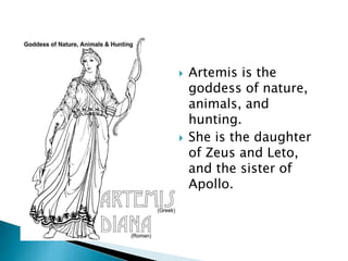  Artemis is the
goddess of nature,
animals, and
hunting.
 She is the daughter
of Zeus and Leto,
and the sister of
Apollo.
 
