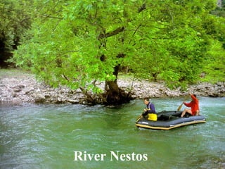 River Nestos
 