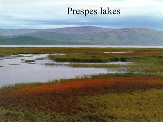 Prespes lakes
 