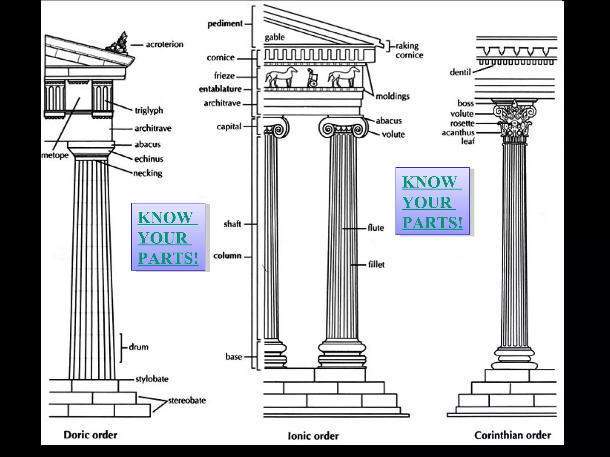 KNOW
YOUR
PARTS!
KNOW
YOUR
PARTS!KNOW
YOUR
PARTS!
KNOW
YOUR
PARTS!
 