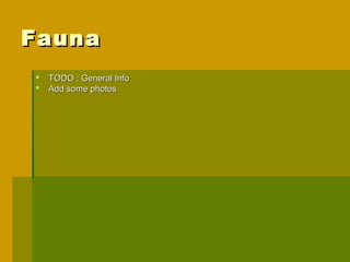 Fauna
   TODO : General Info
   Add some photos
 