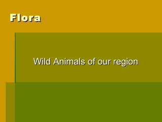 Flora



   Wild Animals of our region
 