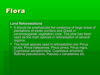 Flora
 Land Reforestations
  It should be emphasized the existence of large areas of
   plantations of exotic conifers and Greek in
   paramesogeiaki vegetation zone. The pine has been
   used as the main species in reforestation of several
   regions.
  The forest species used in reforestation are: Pinus
   brutia, Pinus halepensis, Pinus pinea, Pinus nigra,
   Cupressus sempervirens, Cupressus arizonica,
   Robinia pseudacacia, Populus x canadensis etc.
 