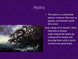 HydraThe hydra is a extremely poison creature that was so poison, one breath could kill a manAnd a drop of its blood is fatal. Hercules a Greece                 myth slayed the hydra by cutting of its heads and burning them with a torch so they cant grow back.