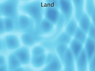 Land
 