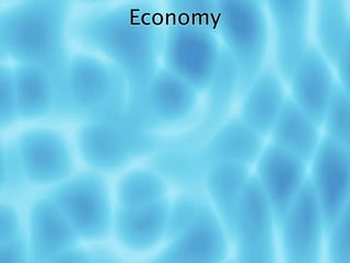 Economy
 