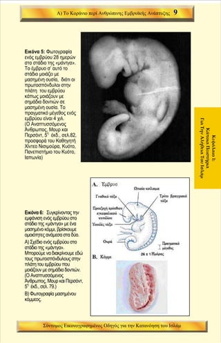 σύντομος εικονογραφημένος οδηγός για την κατανόηση _  Greek