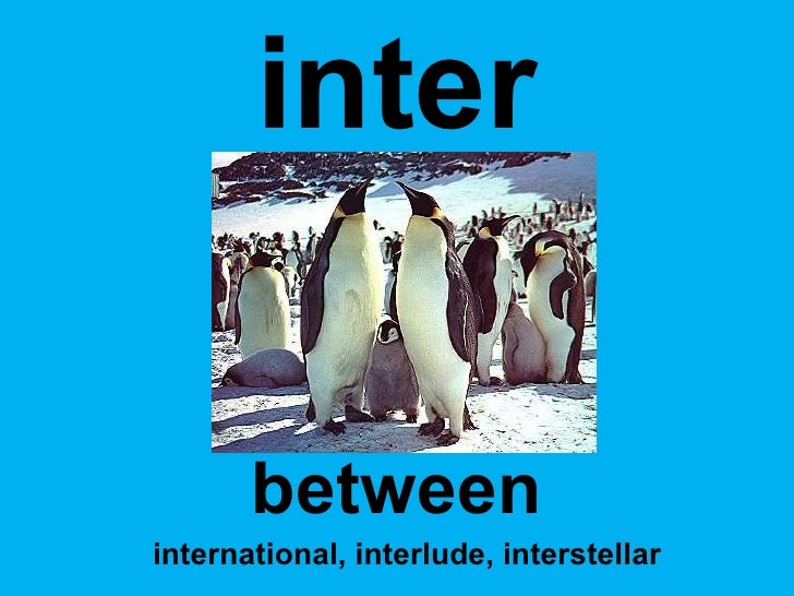 Inter Words Prefix / Words That Start With Inter  slidesharedocs