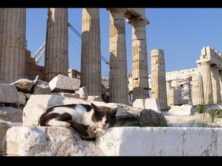 Greek Cats. (Nikos) Slide 22