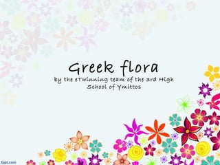 Greek flora
by the eTwinning team of the 3rd High
School of Ymittos
 