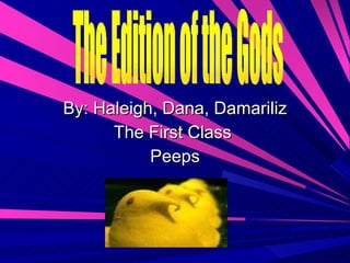 By: Haleigh, Dana, Damariliz The First Class  Peeps The Edition of the Gods 