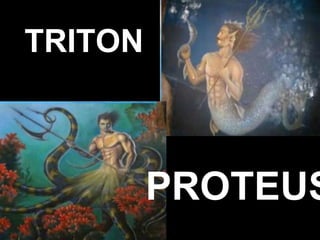 TRITON
PROTEUS
 