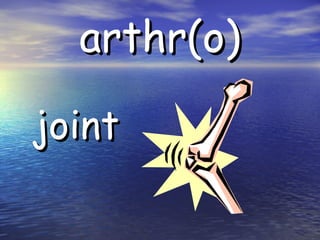 arthr(o) joint