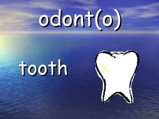 odont(o) tooth