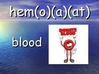hem(o)(a)(at) blood