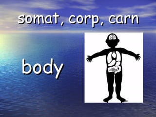 somat, corp, carn body