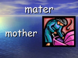 mater mother
