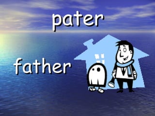 pater father
