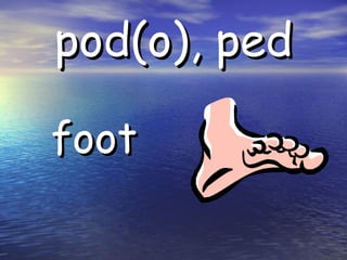 pod(o), ped foot