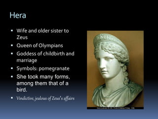 Hera
 Wife and older sister to
Zeus
 Queen of Olympians
 Goddess of childbirth and
marriage
 Symbols: pomegranate
 She took many forms,
among them that of a
bird.
 Vindictive, jealous of Zeus’s affairs
 