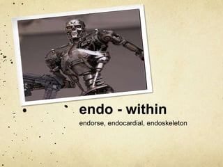 endo - within
endorse, endocardial, endoskeleton

 